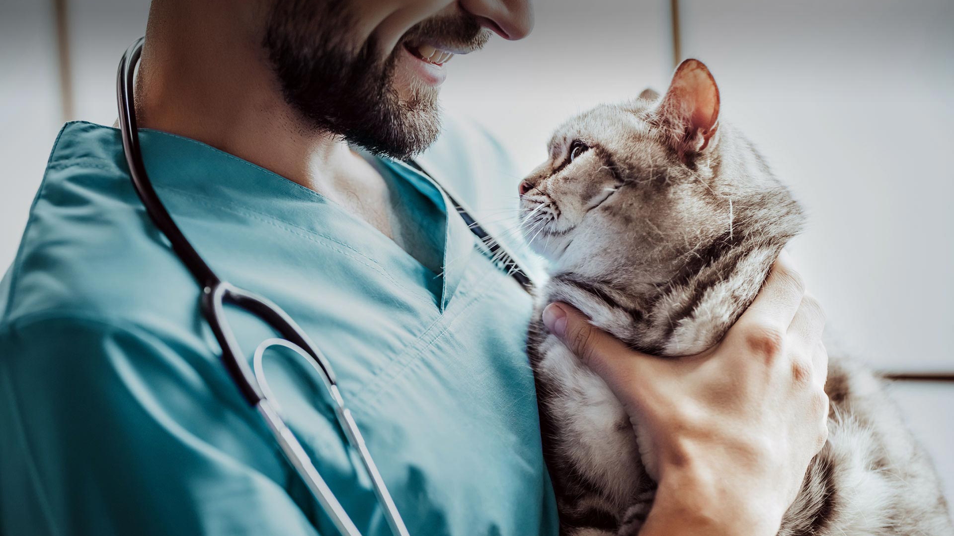 İncirliova Veteriner